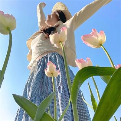 一宅家族